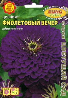 цЦинния Фиолетовый вечер 0,1г