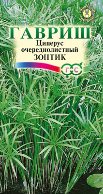 цЦиперус Зонтик (очереднолистный) 0,05г