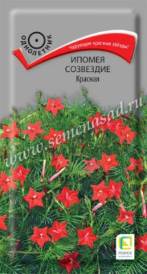 цИпомея Созвездие Красная 0,3гр