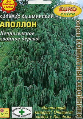 цКипарис Аполлон кашмирский 0,1г