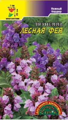 цПрунелла Лесная Фея многолет.