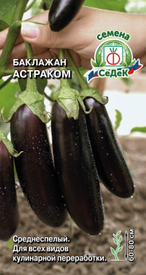 Баклажан Астраком УГ