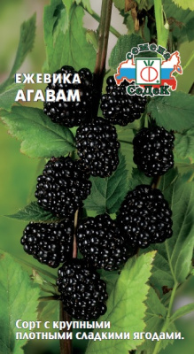 Ежевика Агавам 0,05г