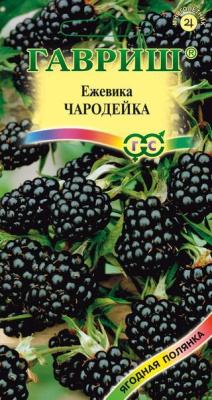 Ежевика Чародейка 10шт