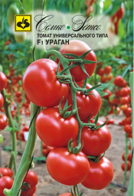 Томат Ураган 10шт