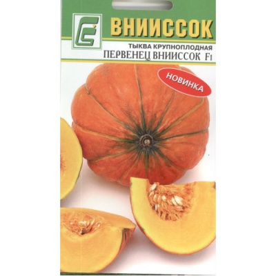 Тыква Первенец ВНИИССОК