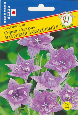 цПлатикодон Астра Махровый Лавандовый 5шт