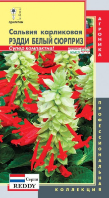 цСальвия Рэдди Белый сюрприз(карликовая) 10шт