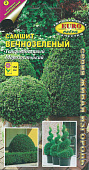цСамшит Вечнозеленый