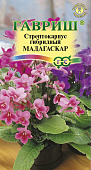 цСтрептокарпус Мадагаскар 5шт