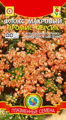 цФлокс Промис Персик 5шт