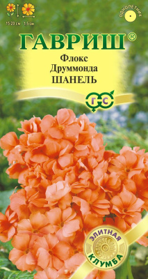 цФлокс Шанель друмм. 8шт Элитная клумба