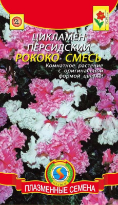 цЦикламен Рококо смесь 3шт