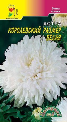 цАстра Королевский размер белая