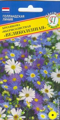 цБрахикома Великолепная 0,05г