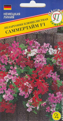 цПеларгония Саммертайм смесь 5шт