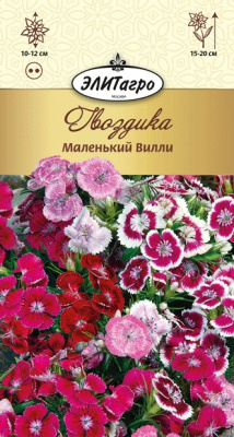 цГвоздика турецкая Маленький Вилли низк.