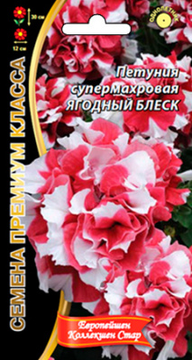 цПетуния Ягодный Блеск