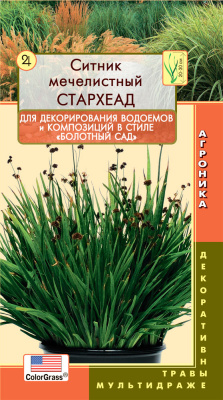цСитник СтарХеад