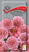 цСкабиоза Лососево-розовая 0,2г