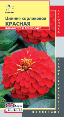 цЦинния Красная Juliette (карликовая)