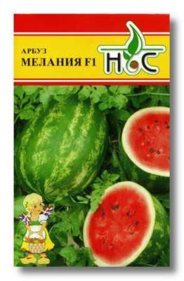 Арбуз Мелания 5шт (Seminis/Голландия)