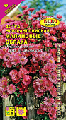 цАстра Малиновые облака ново-бельгийская