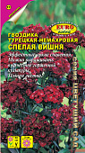 цГвоздика Спелая вишня турецкая