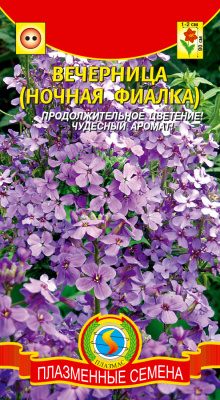 цВечерница Ночная фиалка смесь