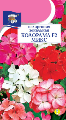 цПеларгония Колорама смесь окрасок