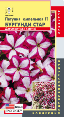 цПетуния Бургунди Стар