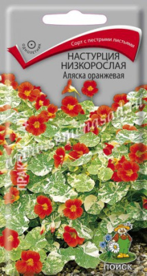 цНастурция Аляска оранжевая низк. 1г