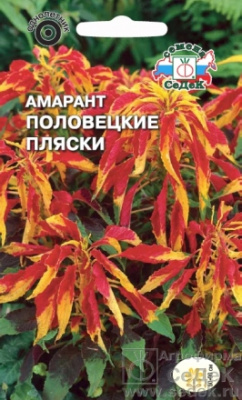 цАмарант Половецкие пляски