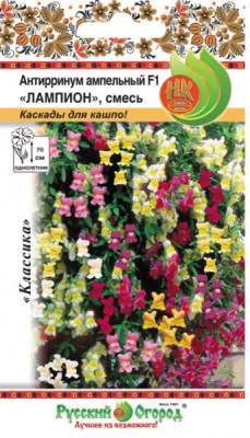 цАнтирринум Лампион 5шт