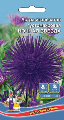 цАстра Ночная звезда