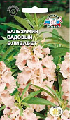 цБальзамин Элизабет