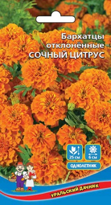 цБархатцы Сочный Цитрус