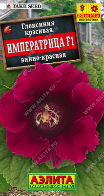 цГлоксиния Императрица Винно-красная 5шт