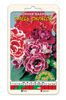 цГлоксиния Махровая смесь 5шт