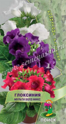 цГлоксиния Мульти Белз микс 5шт