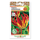 цГлориоза Великолепная 6шт