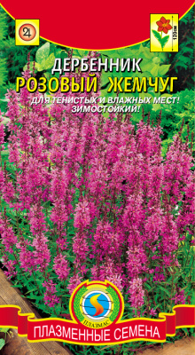 цДербенник Розовый жемчуг