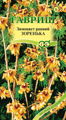 цЗимоцвет Зоренька 3шт