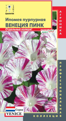 цИпомея Венеция Пинк