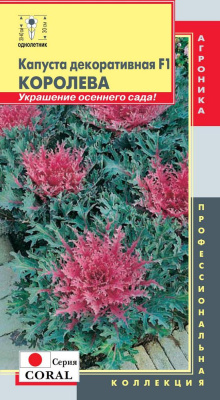 цКапуста декор. Королева