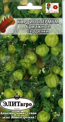 цКардиоспермум Бумажные Сердечки