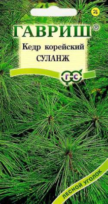 цКедр сибирский Шепард 3 шт.