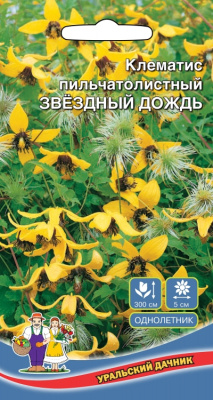цКлематис Звездный дождь 10шт