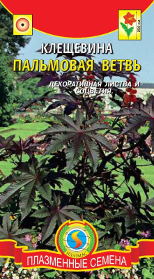 цКлещевина Пальмовая ветвь 5шт.
