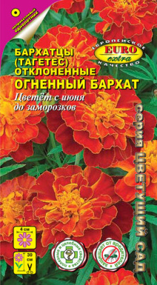 цБархатцы Огненный бархат откл. 0,2г
